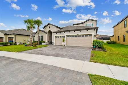 8695 Birchleaf Ct Land O Lakes, FL 34637