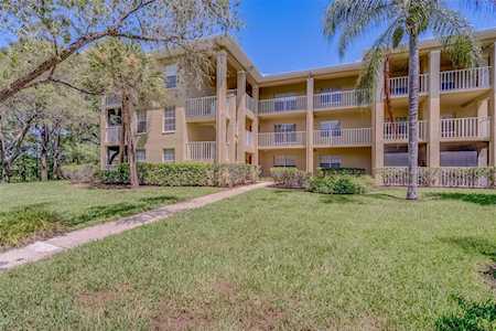 2690 Coral Landings Blvd #423 Palm Harbor, FL 34684