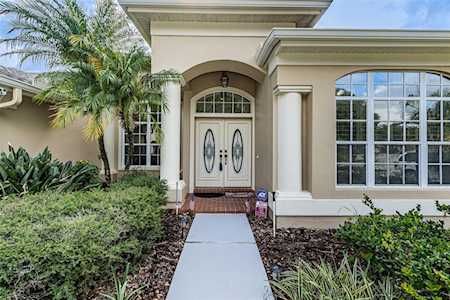 4877 Kylemore Ct Palm Harbor, FL 34685