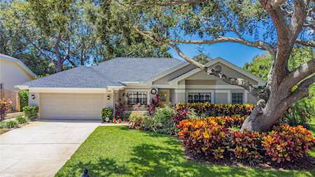 2944 Spring Oak Ct Palm Harbor, FL 34684