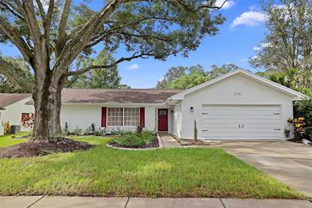 310 Woodland Ct Safety Harbor, FL 34695