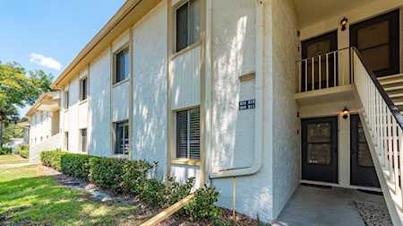 209 Pine Ct #3 Oldsmar, FL 34677