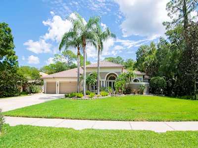 4919 Turtle Creek Trl Oldsmar, FL 34677
