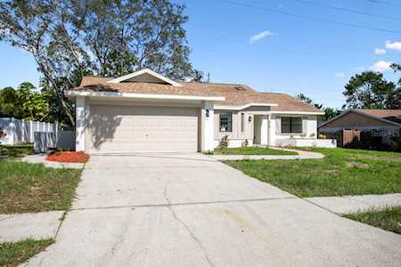 520 Fernshire Dr Palm Harbor, FL 34683