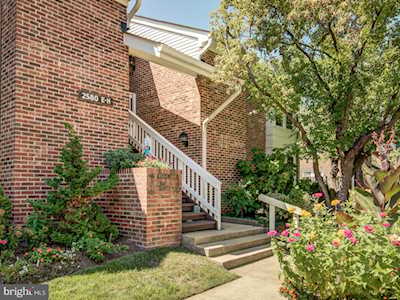 2580G S Arlington Mill Dr #7 Arlington, VA 22206