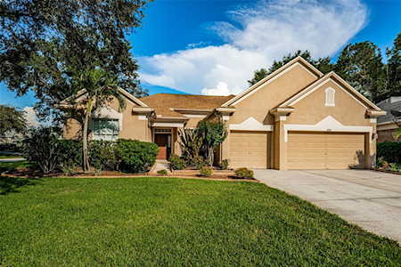 4591 Halkirk Ct Palm Harbor, FL 34685