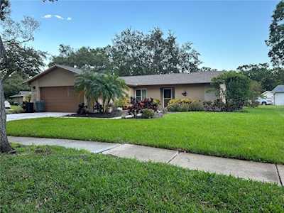 1454 Queen Anne Blvd Palm Harbor, FL 34684