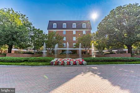 8101 Connecticut Ave #N409 Chevy Chase, MD 20815