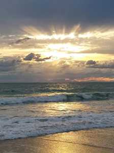 4225 N Highway A1A #20 Hutchinson Island, FL 34949