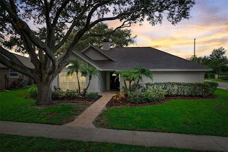3094 Hidden Hills Dr Palm Harbor, FL 34683