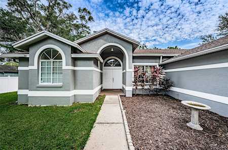 14901 Sugar Cane WAY Clearwater, FL 33760