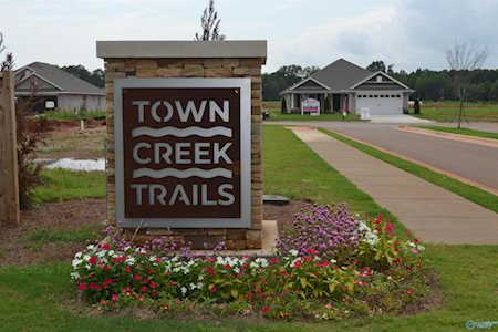 15457 Lapwing Cove Athens, AL 35611