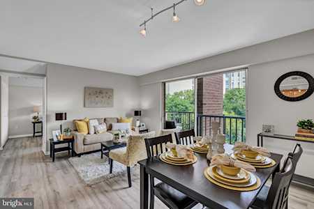 1300 Army Navy Dr #518 Arlington, VA 22202
