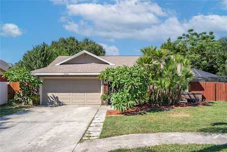 2259 Blue Tern Dr Palm Harbor, FL 34683