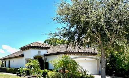 1371 Marinella Dr Palm Harbor, FL 34683