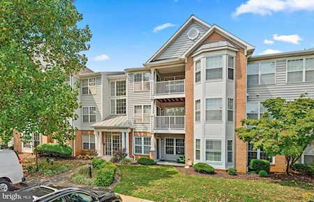 2010 Peggy Stewart Way #104 Annapolis, MD 21401