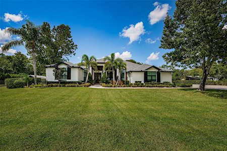 344 Appaloosa Rd Tarpon Springs, FL 34688