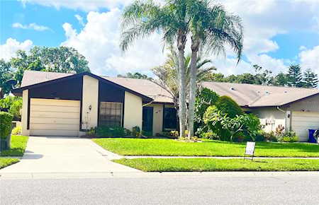 2009 Saginaw Ct Oldsmar, FL 34677