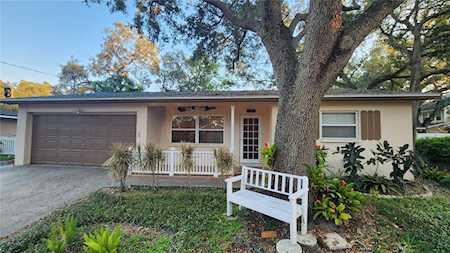 420 Dr M L King Jr St N Safety Harbor, FL 34695