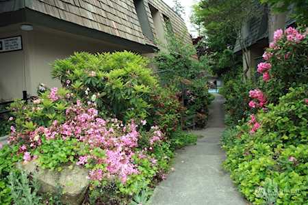 1415 154th Avenue Ave NE #B414 Bellevue, WA 98007
