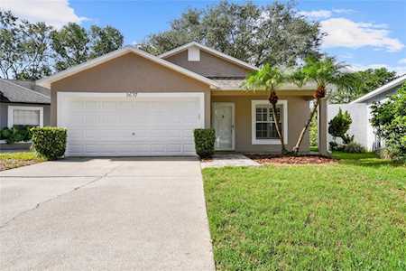 3637 Amelia WAY Palm Harbor, FL 34684