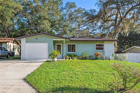 1412 Oak Haven Dr Safety Harbor, FL 34695