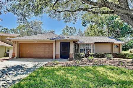 2241 Tinder Ct Land O Lakes, FL 34639