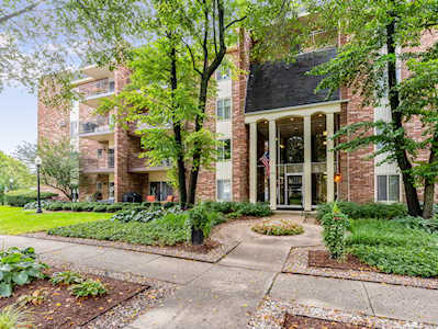 4900 Forest Ave #201 Downers Grove, IL 60515