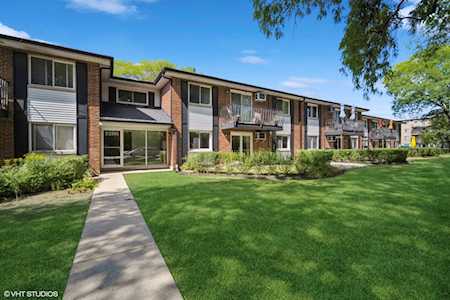 1206 N Dale Ave #1H Arlington Heights, IL 60004