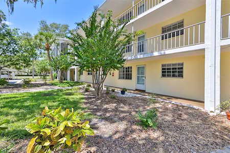 1020 Deleon Dr #104 Dunedin, FL 34698