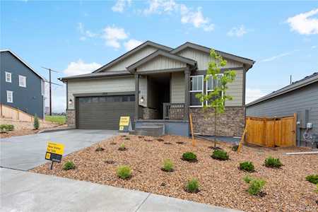 2036 Peachleaf Loop Castle Rock, CO 80108