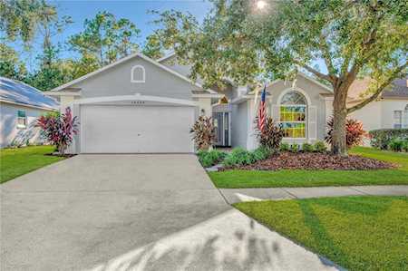 14524 Weeping Elm Dr Tampa, FL 33626