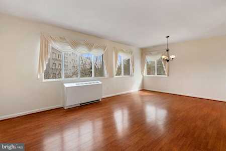 3701 5th St S #311 Arlington, VA 22204