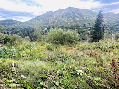 4221 Birdsong Dr Eagle River, AK 99577