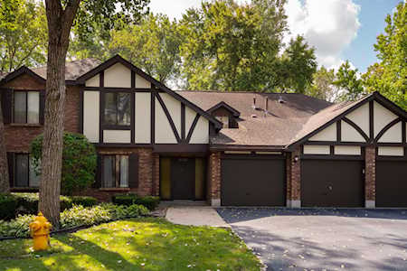 8135 Willow Dr #C Palos Hills, IL 60465