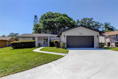 2800 Oak Tree Ct Palm Harbor, FL 34684