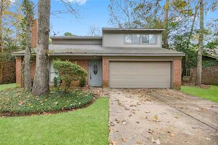4 Basal Briar Ct The Woodlands, TX 77381
