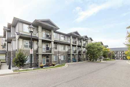 48 Panatella Rd NW #211 Calgary, AB T2P 4V9