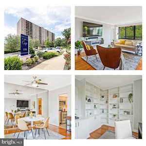 5500 Holmes Run Parkway #405 Alexandria, VA 22304