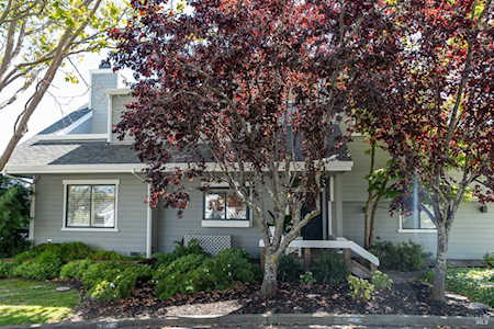 6030 Shelter Bay Avenue Mill Valley, CA 94941