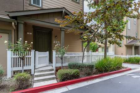223 Peppermint Tree Ter 6 SUNNYVALE, CA 94086
