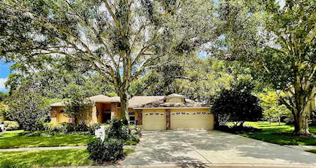 2039 Swan Ln Palm Harbor, FL 34683