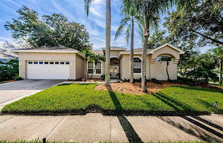 723 Waterview Ln Tarpon Springs, FL 34689