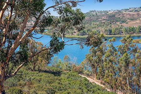 11152 Caminito Vista Pacifica San Diego, CA 92131