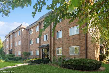 917 Buccaneer Dr #1 Schaumburg, IL 60173