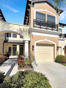 11738 Crowned Sparrow Ln Tampa, FL 33626