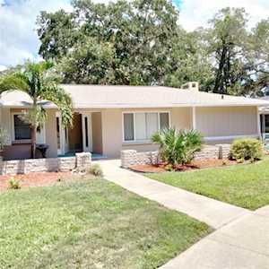 976 Woodland Dr Palm Harbor, FL 34683