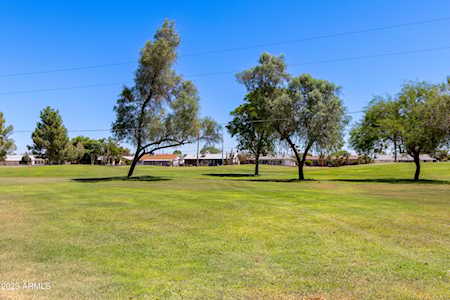 10001 W Lakeview Circle Sun City, AZ 85351