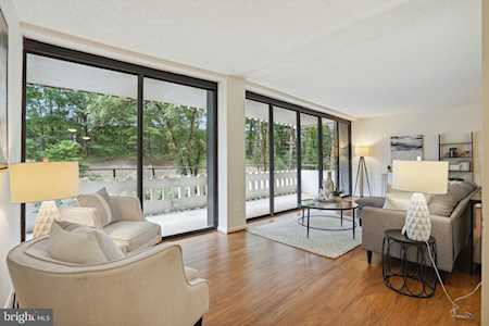6301 Stevenson Ave #210 Alexandria, VA 22304