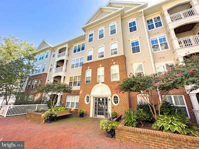 5108 Donovan Dr #305 Alexandria, VA 22304